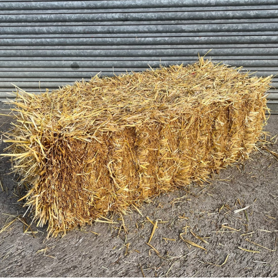Barley Straw